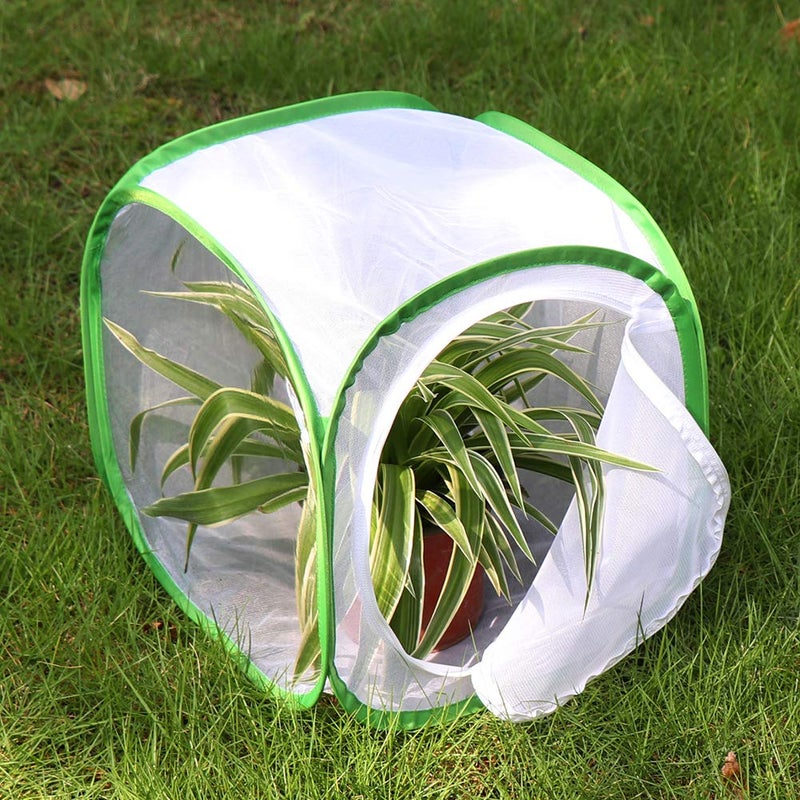 RESTCLOUD Insect and Butterfly Habitat Cage Terrarium Pop-up 12 X 12 X 12 Inches, Polyester Bottom for Easier Clean - Image 3